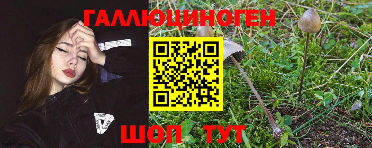 Бирск  Галлюциногенные грибы GOLDEN TEACHER  Вход с VPN 
